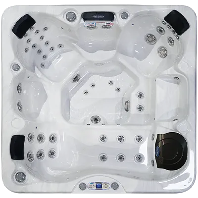 Avalon EC-849L hot tubs for sale in Whitefish
