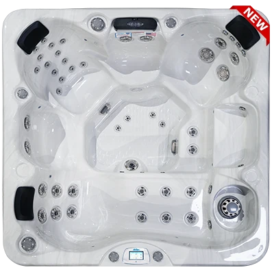 Avalon-X EC-849LX hot tubs for sale in Whitefish